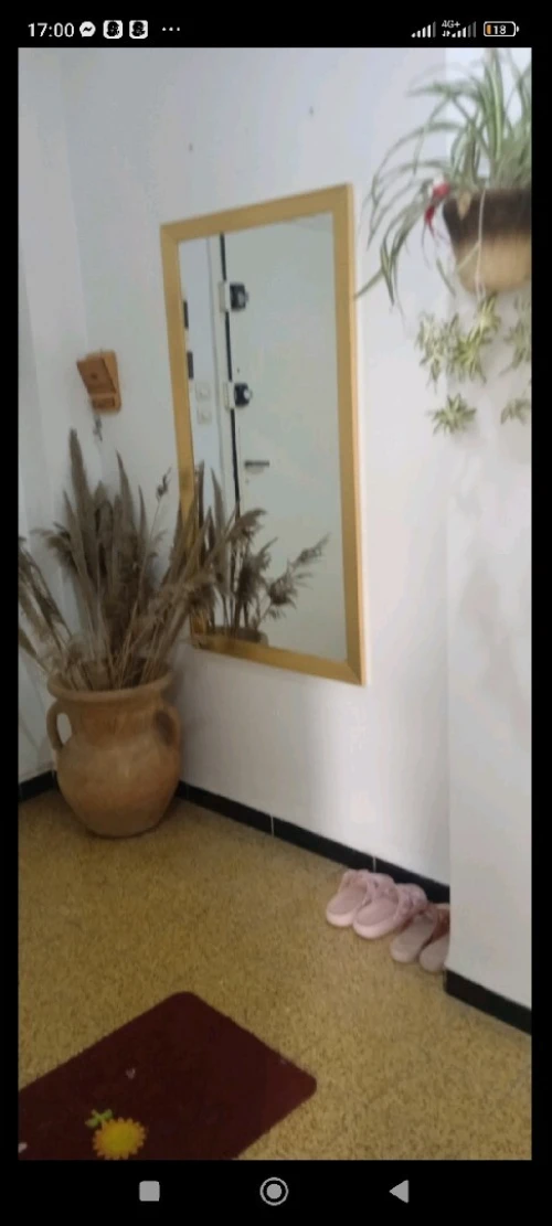 Location vacances Appartement F3 Alger El mouradia