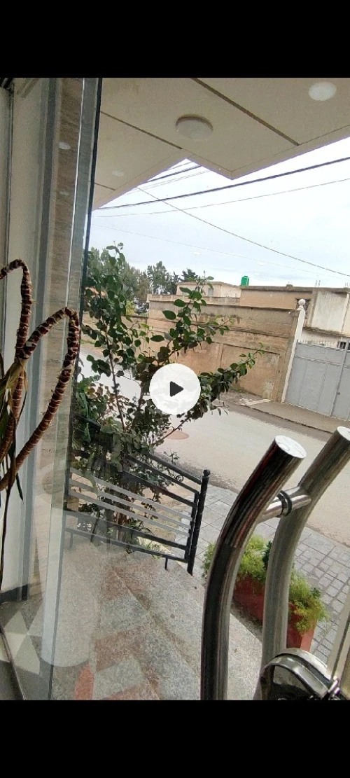 Location Local Alger Dely brahim