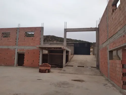 Vente Hangar Tissemsilt Theniet el had