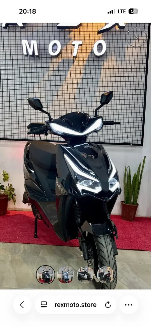 Rex Cobra 2026