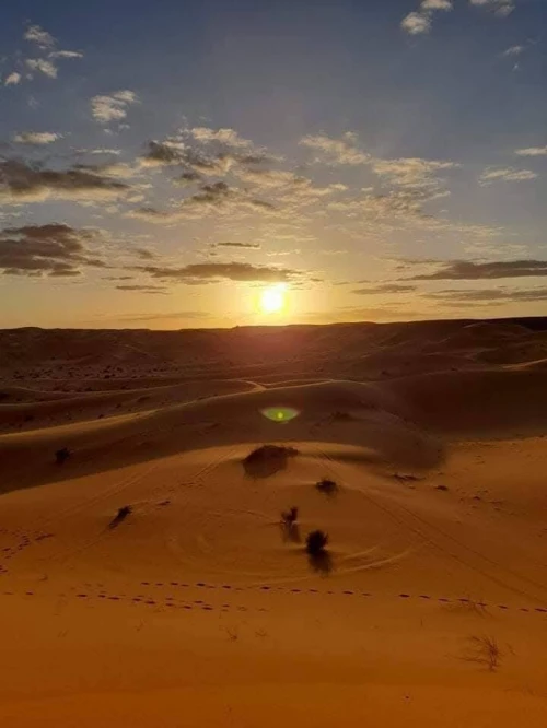 voyage organise taghit benni abbes 