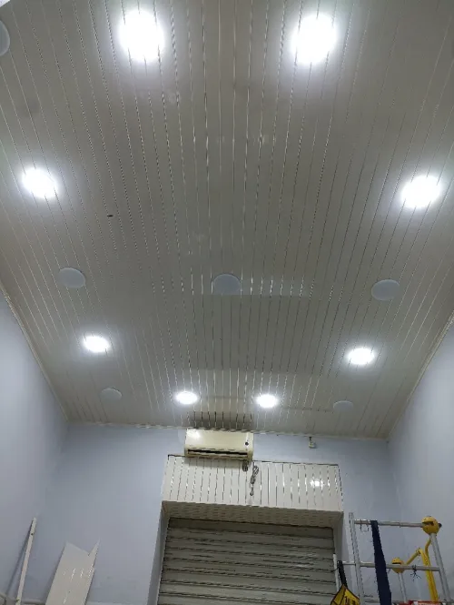 Poseur Placoplâtre (BA13) / PVC
