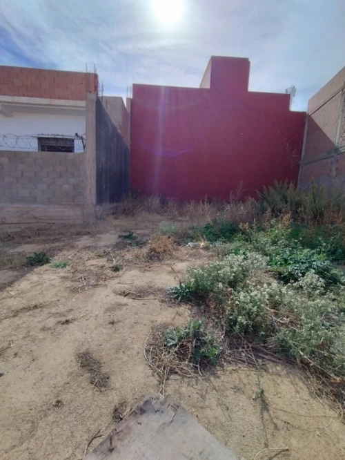 Vente Terrain Tlemcen Tlemcen
