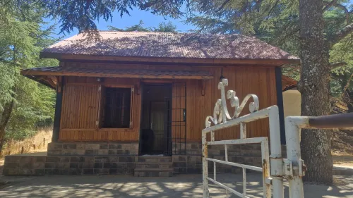Vente bien immobilier Blida Chrea