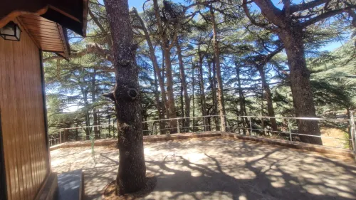 Vente bien immobilier Blida Chrea