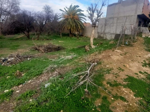 Vente Terrain Tlemcen Tlemcen