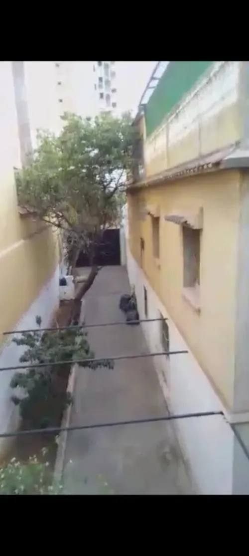 Vente Villa Alger Birkhadem