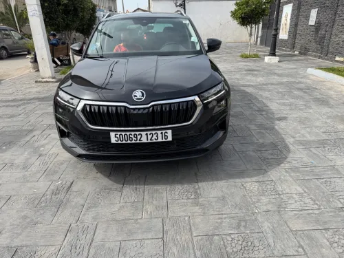 Skoda Karoq 2023 active