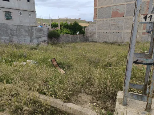 Vente Terrain Constantine El khroub