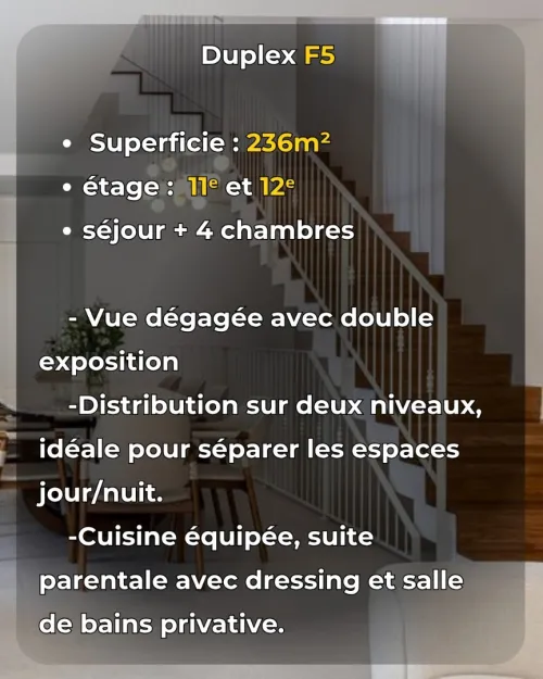 Vente Appartement Duplex F5 Alger Bir mourad rais