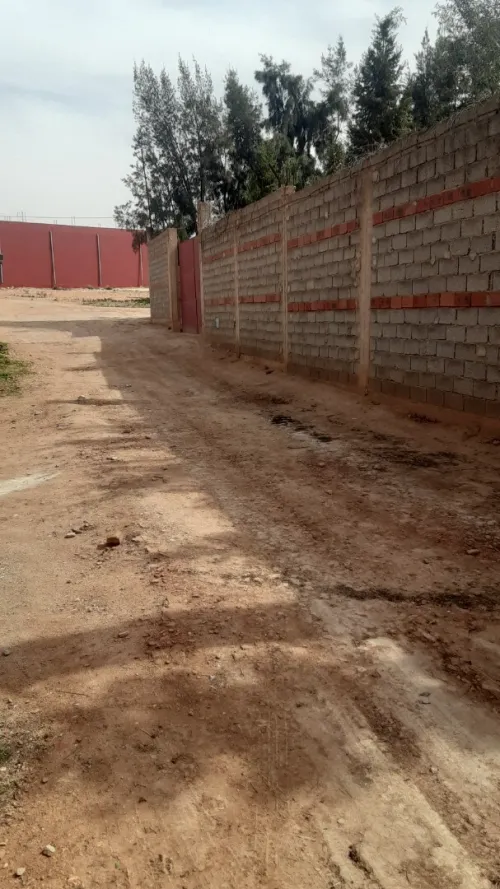 Vente bien immobilier Tlemcen Maghnia