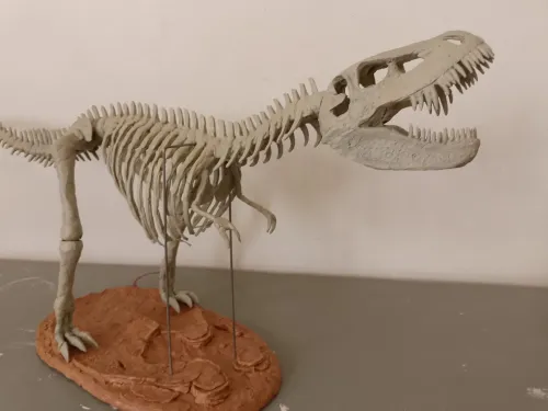 T-Rex fossiles (réplique) pour décoration dimensions 92 cm sur 38cm