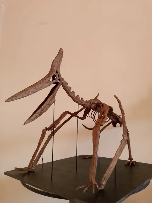 Fossiles Pteranodon (réplique) sculpté a mainDimensions  longueur 1, mètre  hauteur 66cm