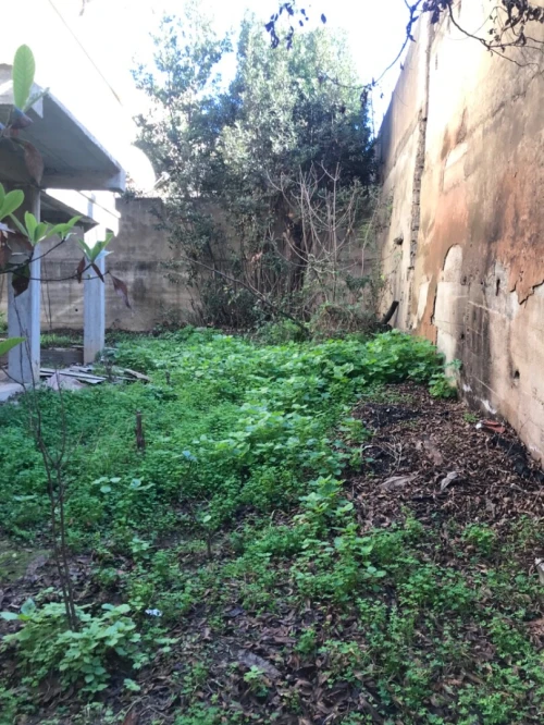 Vente Villa Alger Bouzareah
