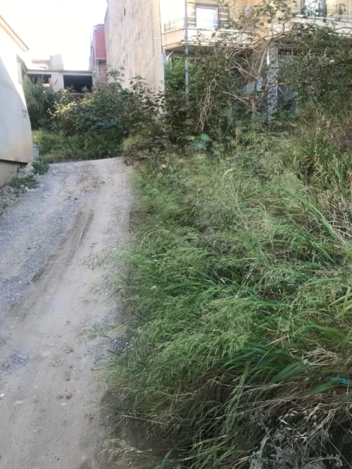 Vente Terrain Alger Khraissia
