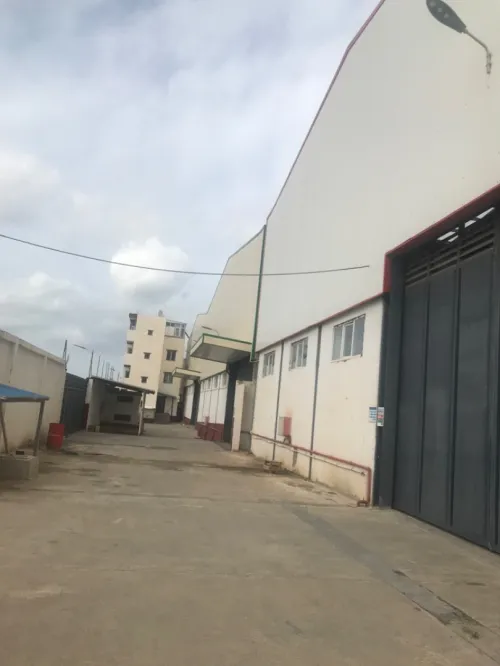 Location Hangar Blida 