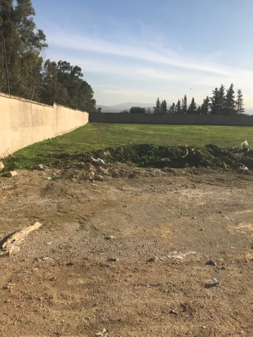 Location Terrain Boumerdes Hammedi