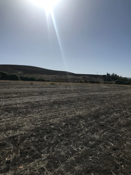 Vente Terrain Agricole Aïn Defla El hassania