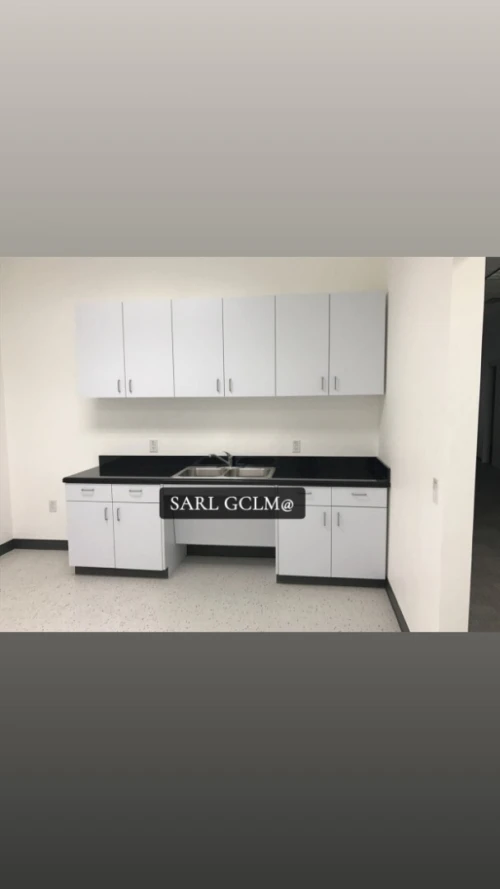 Meubles de Rangement Haut de Gamme pour Cliniques et Cabinets Dentaires
