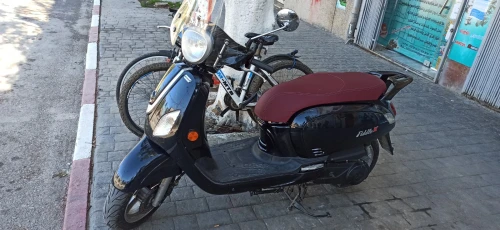 Sym Fiddle 3 2018