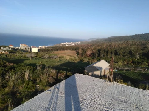 Vente Carcasse Tizi Ouzou Ait chaffaa
