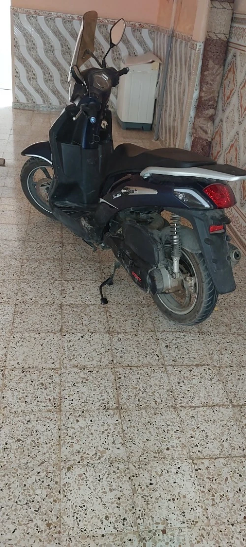 VMS Flach 2021