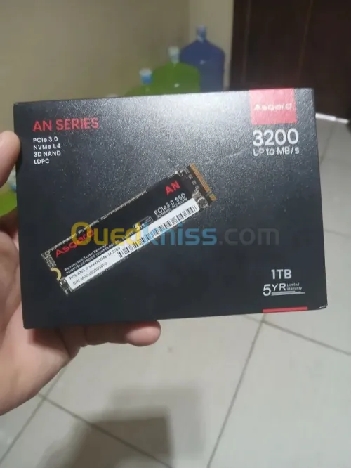 NVME M2 1TO ASGARD SSD