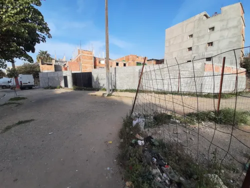 Location Hangar Alger Baraki