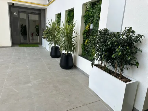 Location Appartement F3 Alger Draria 9