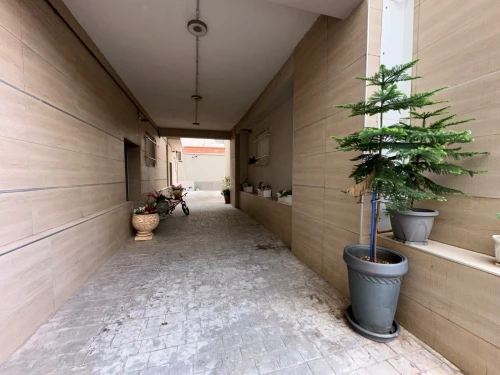 Vente Appartement F3 Alger Cheraga