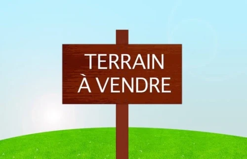 Vente Terrain Blida Chebli