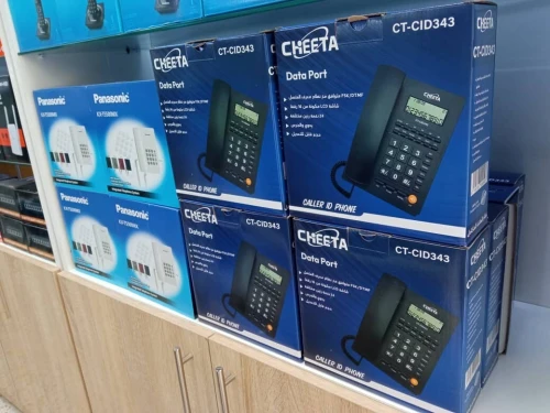 POSTE SIMPLE AVEC AFFICHEUR CHIEETA CID343