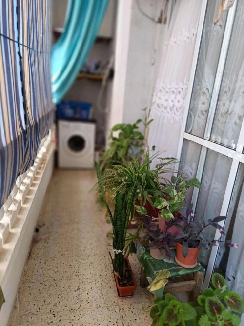 Location Appartement Niveau de villa F4 Alger Bouzareah