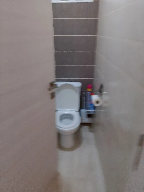 Location Appartement F3 Alger Draria