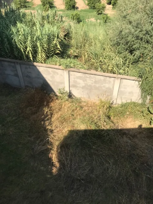 Vente Villa Blida Larbaa