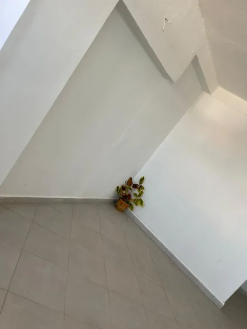 Location Appartement F2 Skikda Skikda