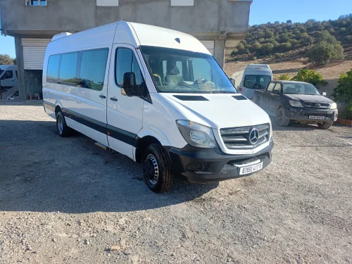 Mirsedas Sprinter 515 2017