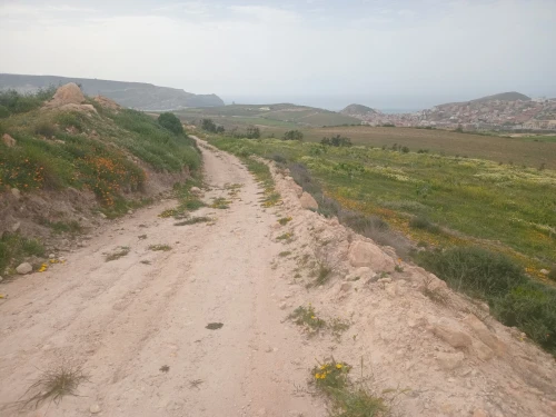 Vente Terrain Agricole Aïn Témouchent Bou zedjar