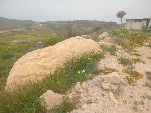 Vente Terrain Agricole Aïn Témouchent Bou zedjar