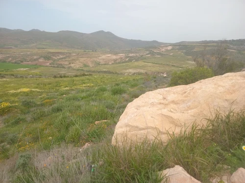Vente Terrain Agricole Aïn Témouchent Bou zedjar