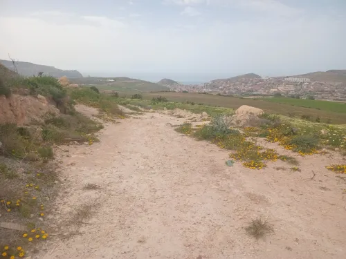 Vente Terrain Agricole Aïn Témouchent Bou zedjar