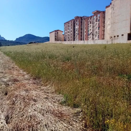 Vente Terrain Béjaïa Oued ghir