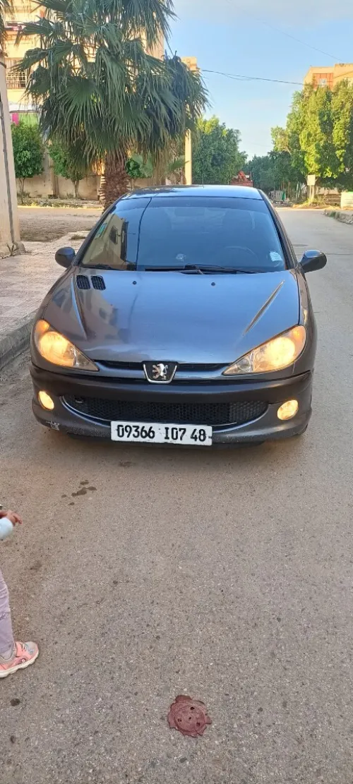 Peugeot 206 2007 La toute