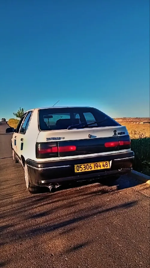 Renault 19 1994 19
