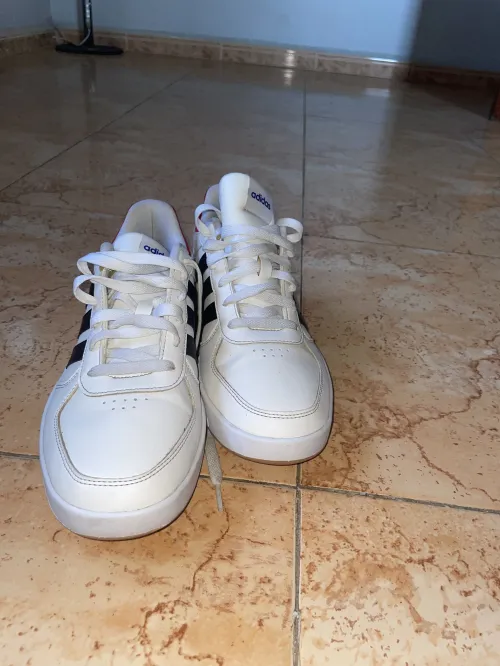 Basket adidas originales 44 pntr