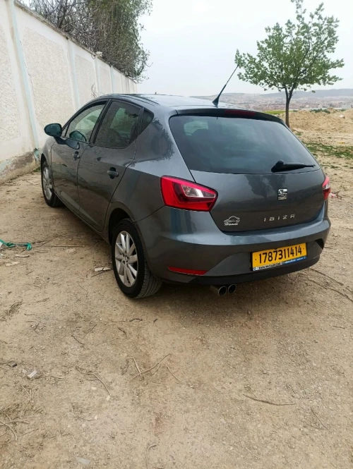 Seat Ibiza 2014 Crono