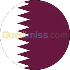 E Visa Qatar  التأشيرة الإلكترونية لقطر