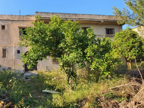 Vente Villa Boumerdès Hammedi