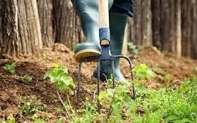 Service Nettoyage Et Jardinage Taille Gazon