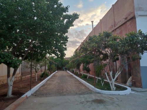 Location Hangar Oran Tafraoui